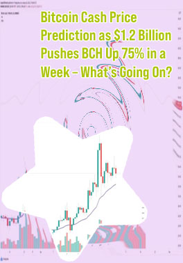 Bitcoin cash future price