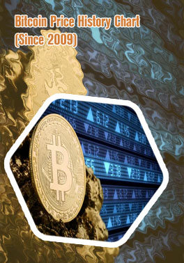 Bitcoin value