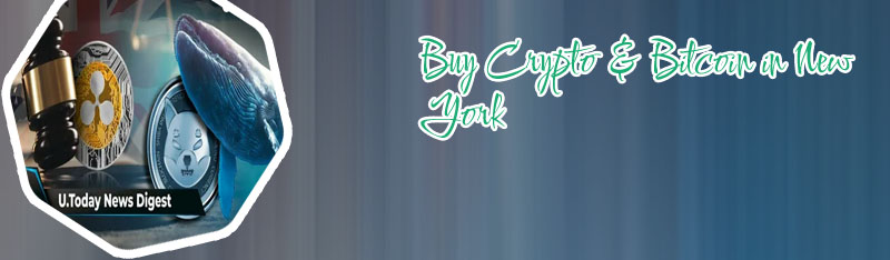 Buy crypto exchange software