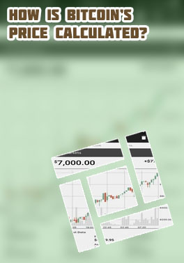 How much is 2 bitcoin worth