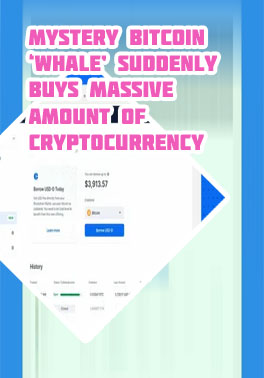Largest bitcoin wallets